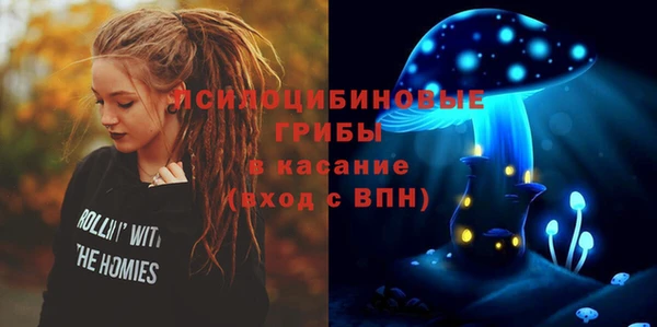 крисы Билибино