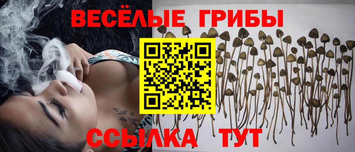 Галлюциногенные грибы GOLDEN TEACHER  где купить наркоту  Старая Купавна  Вход с VPN 